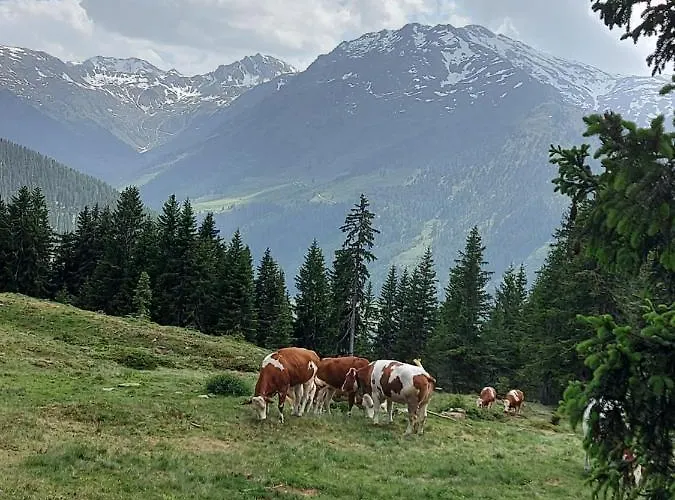 Sonnenresidenz Friedheim Weerberg
