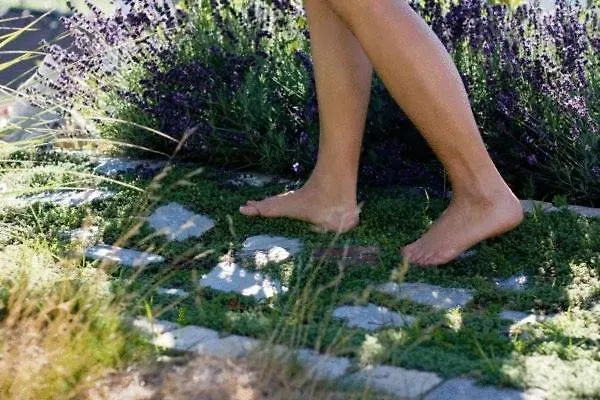 Sonnenresidenz Friedheim Ξενοδοχείο 4*