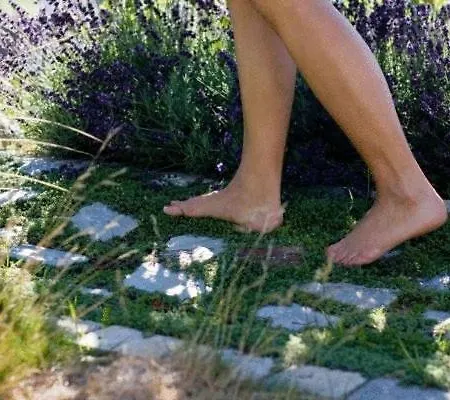 Sonnenresidenz Friedheim Отель 4*